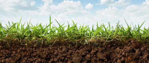Des déchets qui ont de l’avenir : IFPEN présente ses innovations au Salon de l’Agriculture